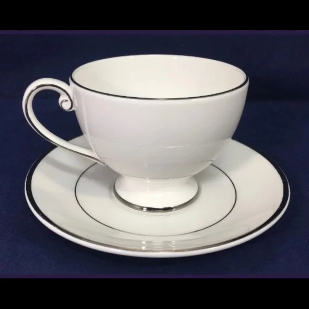 Mikasa Cameo Platinum Teacup & Saucer Fine China